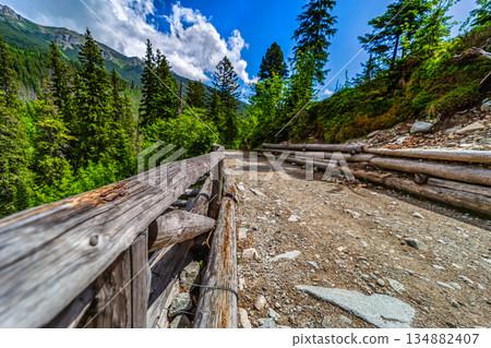 Wooden trail reinforcements on a mountain path in High Tatras Wooden trail reinforcements on a mountain path in High Tatras 134882407