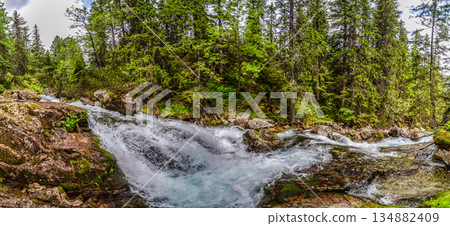 Wild mountain river flowing through green forest in High Tatras Wild mountain river flowing through green forest in High Tatras 134882409