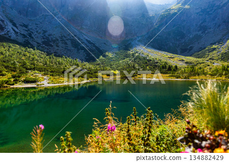 Emerald Green Lake with wild flowers in High Tatras, Slovakia Emerald Green Lake with wild flowers in High Tatras, Slovakia 134882429