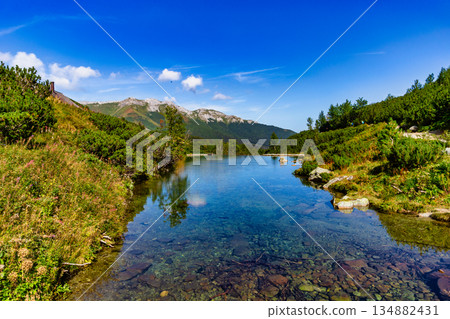 Crystal clear mountain stream with limestone peaks background, Slovakia 134882431
