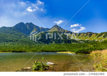 Crystal clear alpine lake with grassy banks in High Tatras, Slovakia Crystal clear alpine lake with grassy banks in High Tatras, Slovakia 134882460