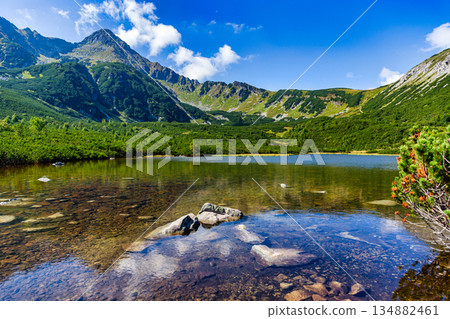 Crystal clear alpine lake with grassy banks in High Tatras, Slovakia Crystal clear alpine lake with grassy banks in High Tatras, Slovakia 134882461