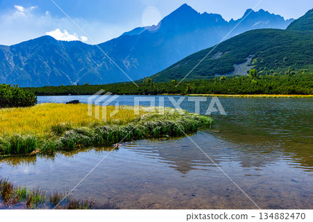 Crystal clear alpine lake with grassy banks in High Tatras, Slovakia 134882470