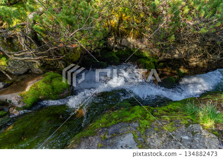 Mountain stream with mossy rocks in High Tatras forest Mountain stream with mossy rocks in High Tatras forest 134882473