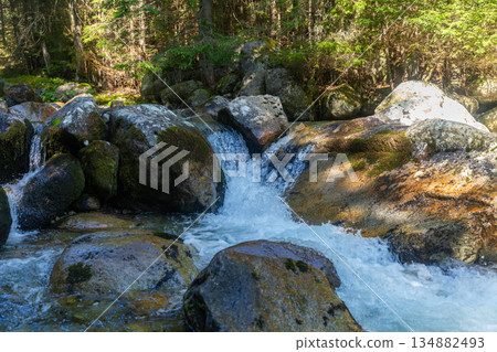 Rushing mountain stream with mossy rocks in High Tatras, Slovakia Rushing mountain stream with mossy rocks in High Tatras, Slovakia 134882493
