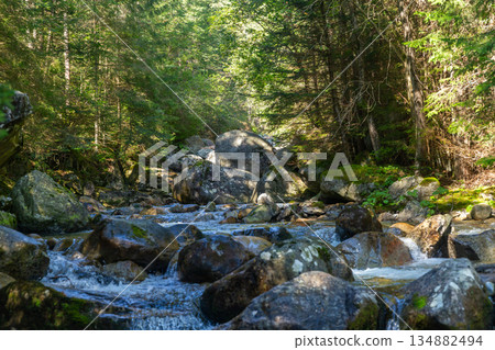 Rushing mountain stream with mossy rocks in High Tatras, Slovakia Rushing mountain stream with mossy rocks in High Tatras, Slovakia 134882494