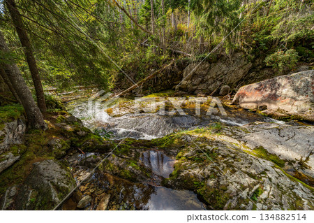 Mountain stream flowing through rocky forest in High Tatras, Slovakia Mountain stream flowing through rocky forest in High Tatras, Slovakia 134882514