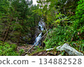 Small waterfall in a lush green forest of High Tatras National Park, Slovakia 134882528