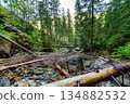 Wooden bridge over a mountain stream in High Tatras, Slovakia 134882532