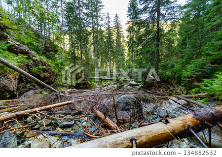Wooden bridge over a mountain stream in High Tatras, Slovakia 134882532