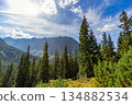 Panoramic view of High Tatras peaks with evergreen forest, Slovakia 134882534