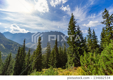 Panoramic view of High Tatras peaks with evergreen forest, Slovakia Panoramic view of High Tatras peaks with evergreen forest, Slovakia 134882534