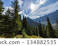 Panoramic view of High Tatras peaks with evergreen forest, Slovakia 134882535