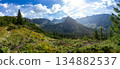 High Tatra mountain range panorama with rocky peaks, Slovakia 134882537