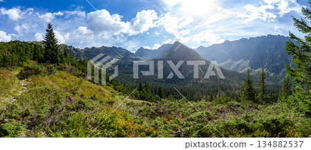 High Tatra mountain range panorama with rocky peaks, Slovakia 134882537