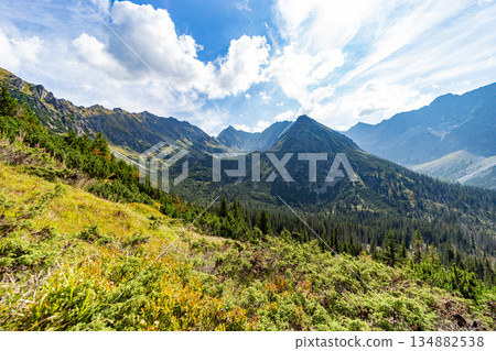Panoramic view of High Tatras peaks with evergreen forest, Slovakia 134882538