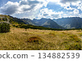 High altitude meadows and mountain peaks in High Tatras, Slovakia 134882539