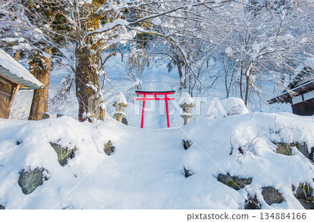 [Dengyosan] Snowy scenery and torii gate [Hakuba Village, Kitaazumi District] 134884166
