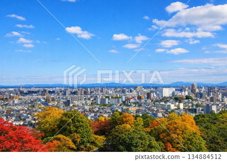 Autumn leaves overlooking the Yamagata Shinkansen and the cityscape towards JR Utsunomiya Station from Utsunomiya Tower Autumn leaves overlooking the Yamagata Shinkansen and the cityscape towards JR Utsunomiya Station from Utsunomiya Tower 134884512