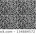 Seamless pattern print of skin of leopard, illustration 134884572