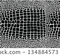Seamless pattern of alligator skin on a white background 134884573