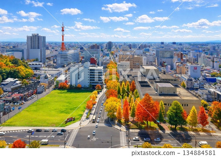 In front of the main gate of the prefectural office from the Tochigi Prefectural Office Observation Lobby, overlooking the townscape in the direction of Chuo-dori 134884581