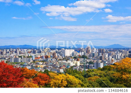 A view of the Yamagata Shinkansen and the cityscape in the direction of JR Utsunomiya Station from Utsunomiya Tower 134884616