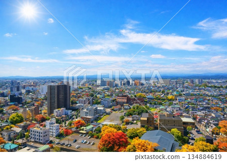 A view of the town in the direction of the Tochigi Prefectural Government Building from the observation lobby of the Tochigi Prefectural Office 134884619