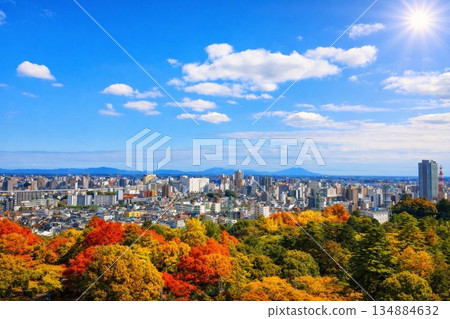 A view of the Yamagata Shinkansen and the cityscape in the direction of JR Utsunomiya Station from Utsunomiya Tower 134884632