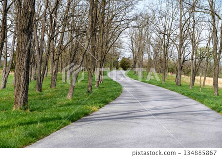 Winding road through winter early spring landscape woods trees grass no leaves 134885867