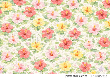 背景素材:芙蓉花 背景素材:芙蓉花 134885984