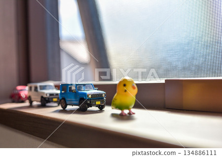 Image of a cute miniature toy placed by the window Image of a cute miniature toy placed by the window 134886111
