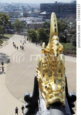 岡山城金鯱（岡山縣） 134886137