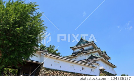 Wakayama Castle and fresh greenery against the blue sky 134886187