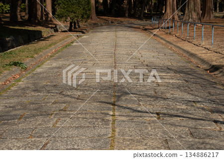 公園裡的鵝卵石鋪成的小路 134886217