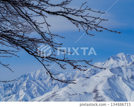 長野縣白馬村北阿爾卑斯山的雪山 長野縣白馬村北阿爾卑斯山的雪山 134886715