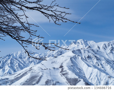 Snow-capped mountains of the Northern Alps, Hakuba Village, Nagano Prefecture Snow-capped mountains of the Northern Alps, Hakuba Village, Nagano Prefecture 134886716