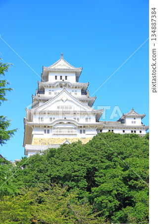 兵庫縣姬路市國寶姬路城風景 兵庫縣姬路市國寶姬路城風景 134887384