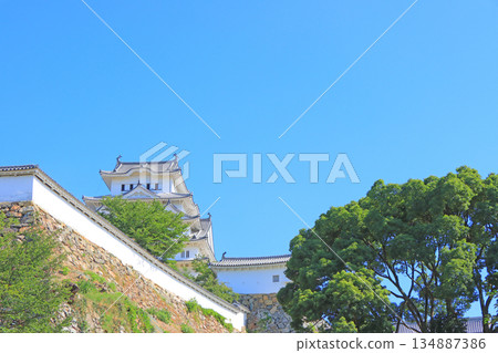 兵庫縣姬路市國寶姬路城風景 134887386