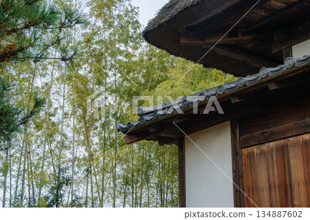 茅草屋頂和竹林 134887602