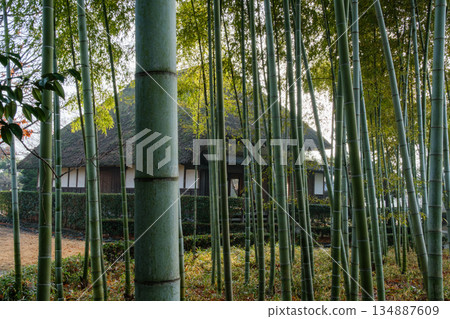 竹林和老私人住宅 竹林和老私人住宅 134887609