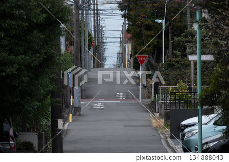 寧靜的住宅區景色 寧靜的住宅區景色 134888043