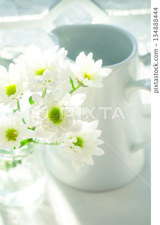 餐具圖片[白色噴霧菊花和花盆] 134888444