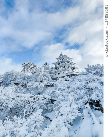 雪中的郡上八幡城 雪中的郡上八幡城 134888593