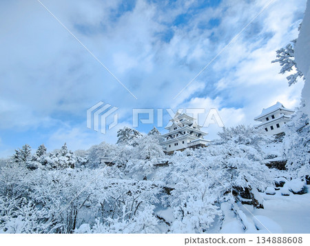雪中的郡上八幡城 134888608