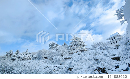 雪中的郡上八幡城 雪中的郡上八幡城 134888610