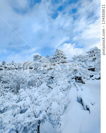 雪中的郡上八幡城 雪中的郡上八幡城 134888611