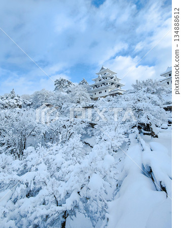 雪中的郡上八幡城 134888612