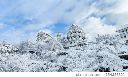 雪中的郡上八幡城 134888621