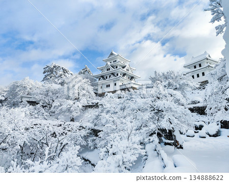 雪中的郡上八幡城 134888622